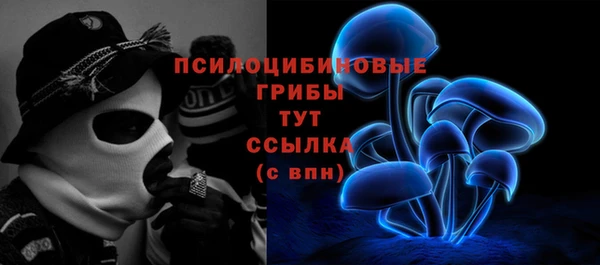 ПСИЛОЦИБИНОВЫЕ ГРИБЫ Зерноград