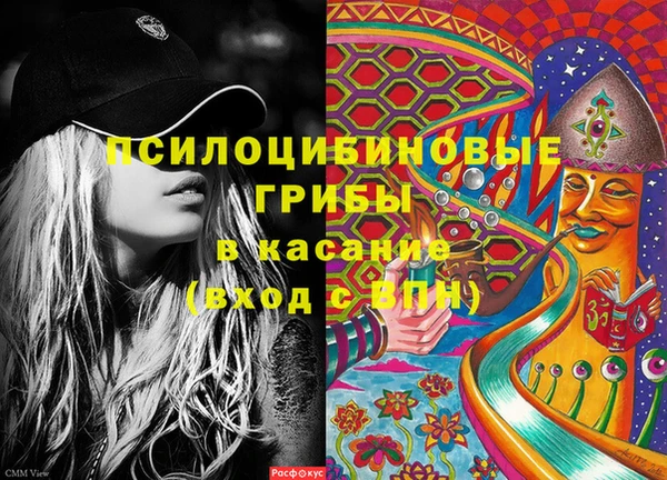 ПСИЛОЦИБИНОВЫЕ ГРИБЫ Зерноград