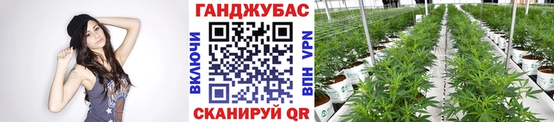 Канабис Ganja Калач
